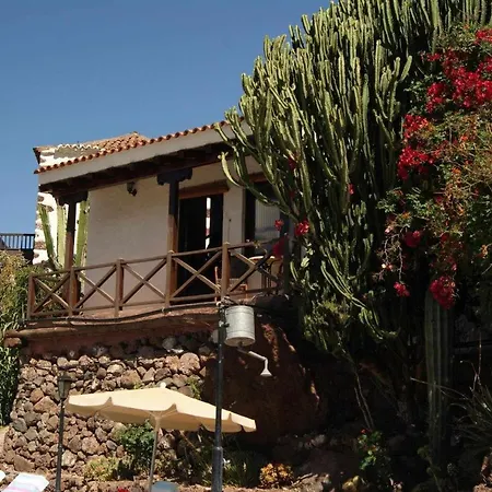 El Olivar - La Oliva Santa Lucia